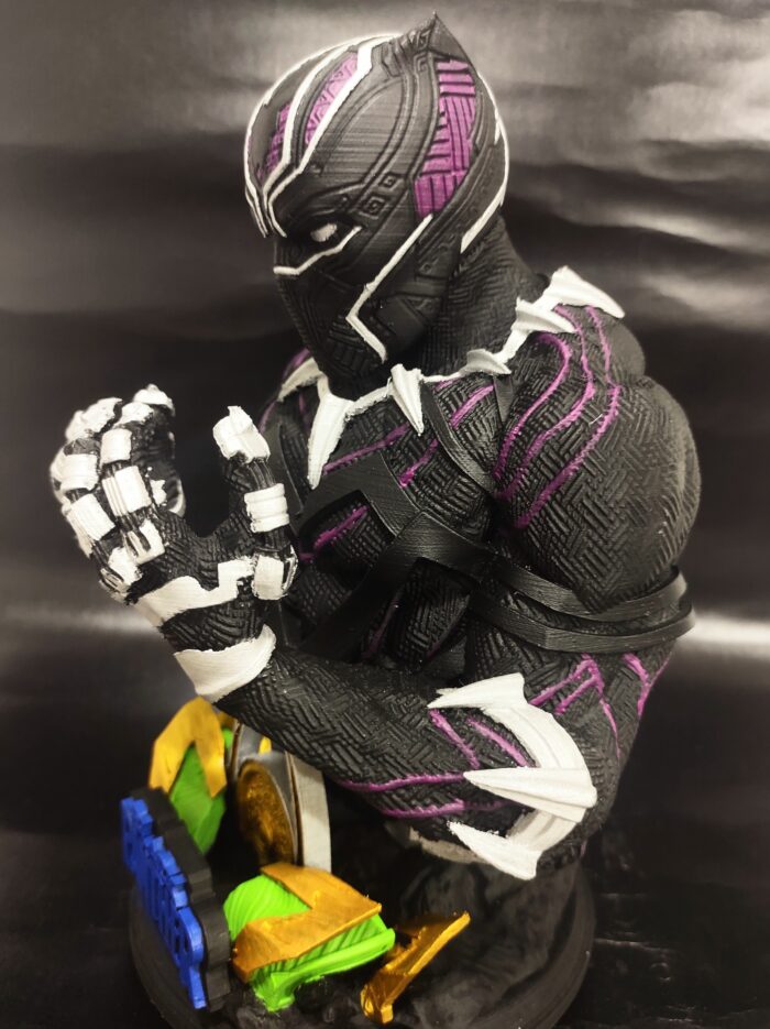 Pantera Negra - Imagem 6